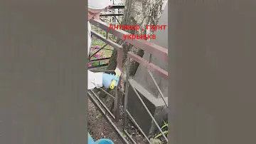 Краска по ржавчине #малярныеработы #ограда #покраска #антикор