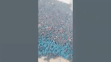 почему не стоит покрывать лестницы резиновой крошкой