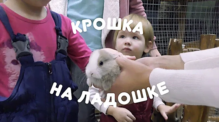 Крошка на ладошке