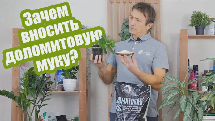 Доломитовая мука: 4 причины использовать ее для огорода!