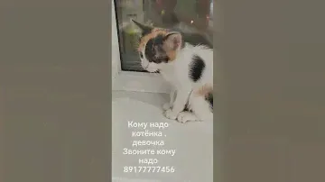 Укладка асфальтовая крошка Сергею посад