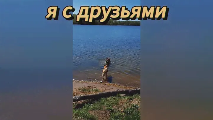 Подарок всем, кто переживал за Хеппи-голубоглазку! Тарасик и команда, приют в ТиНАО, Москва