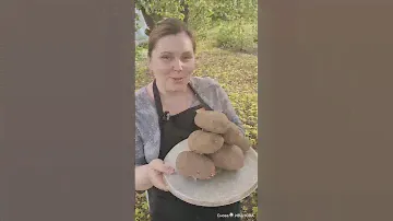 Крошка #картошка #рецепт #готовимдома