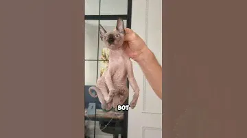 Почему наша малышка не ходит?🙀прямо в день старта продаж свечей😭Свечи на вб арт. 269944557
