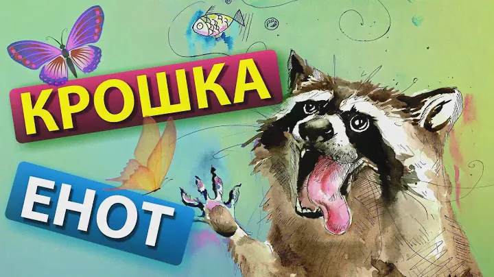 Крошка енот