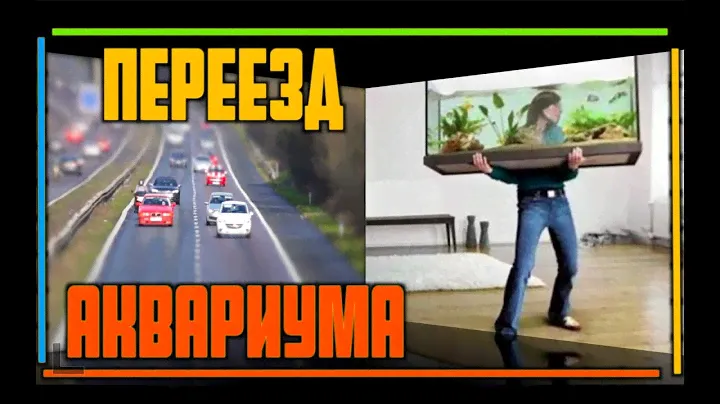 Запуск аквариума на лаве | Лава для аквариума | Перезапуск аквариума | Перевозка аквариума