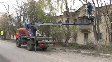 Цветная крошка на клумбах и обрезанные деревья