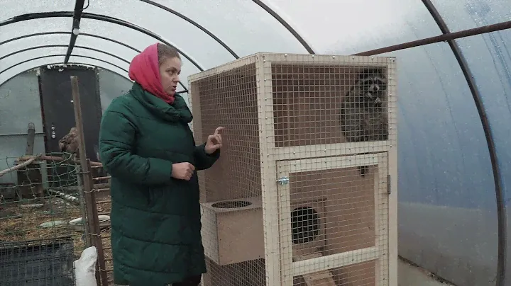 Дом для Крошки-Енота. 17.12.2021